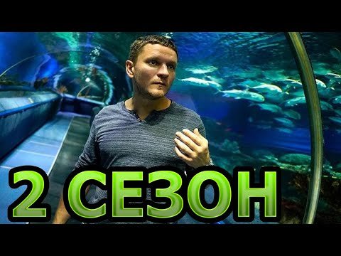 Дельфин 2 сезон 2 серия